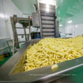 Línea de producción automática de papas fritas